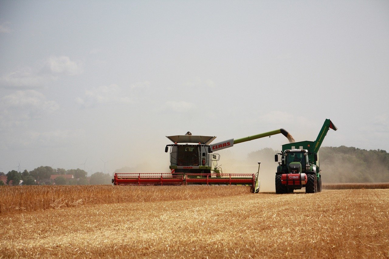 How Blockchain Can Enhance Agricultural Supply Chain Efficiency